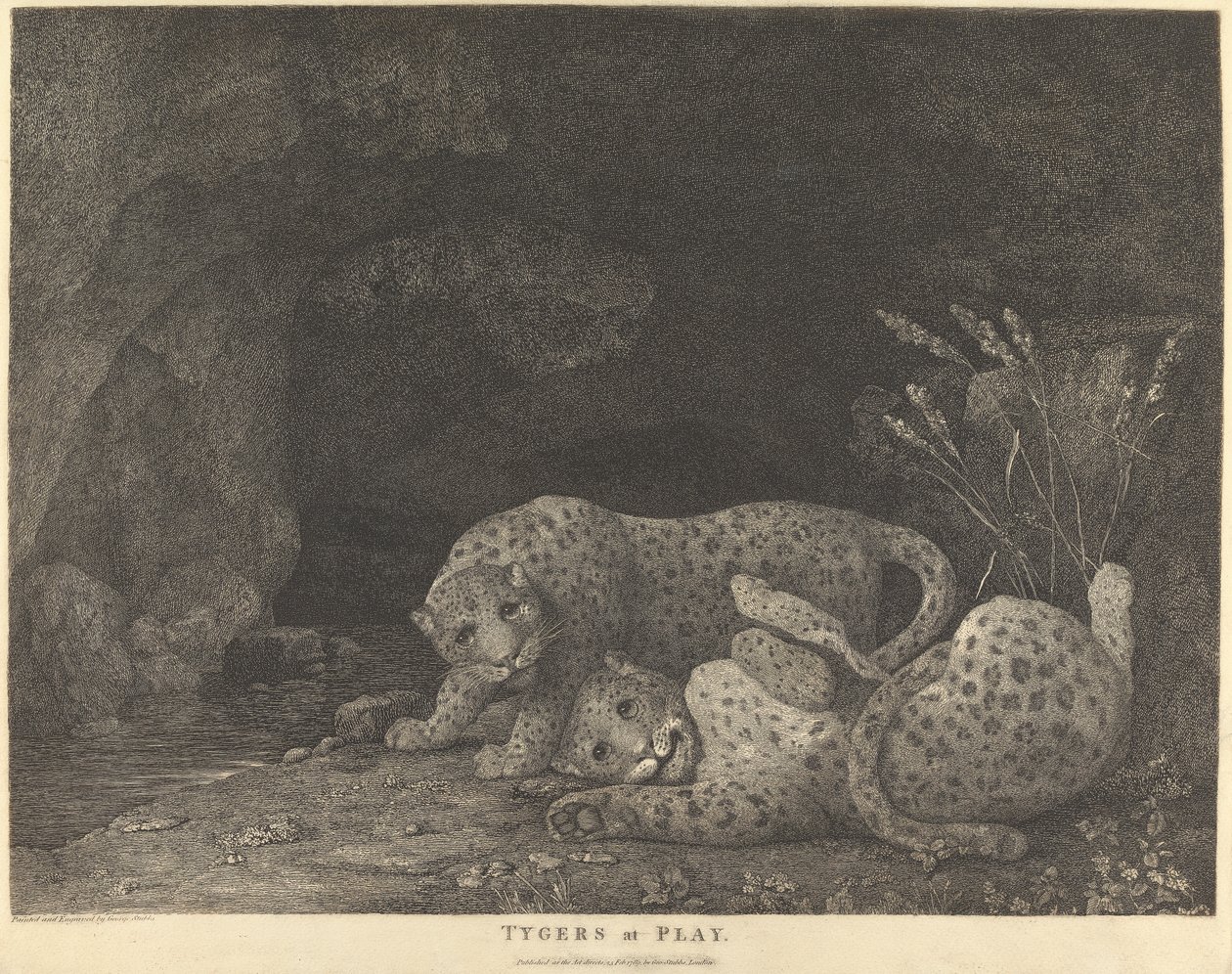 Tigres en jeu - George Stubbs