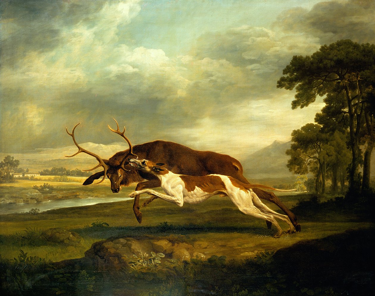 Image inconnue - George Stubbs