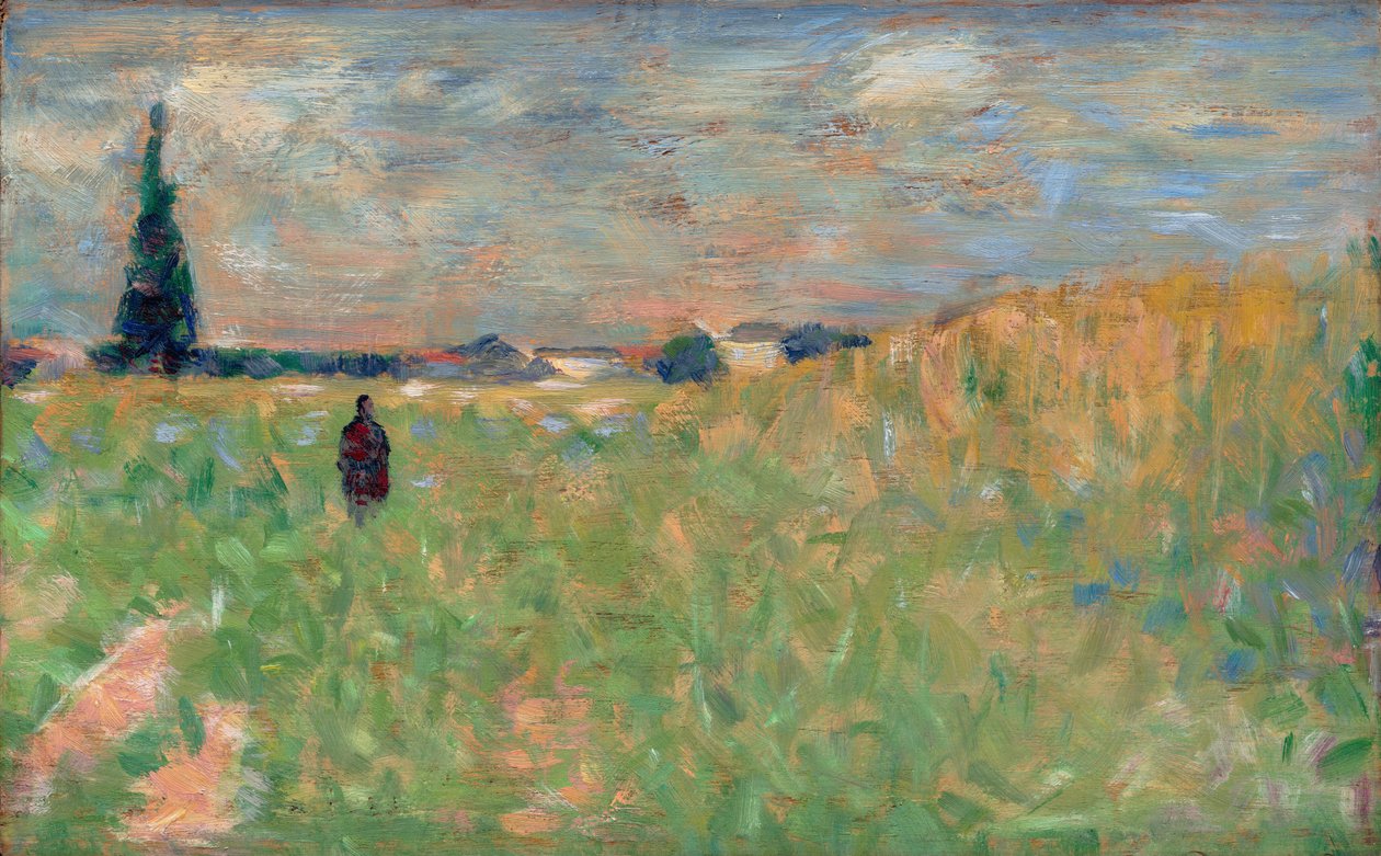 Paysage d