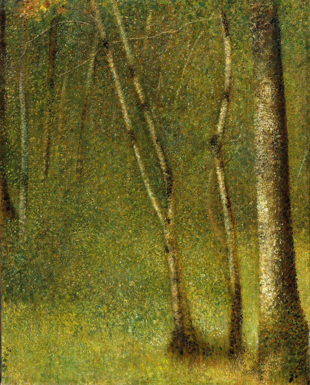 La forêt de Pontaubert, 1881 - Georges Seurat