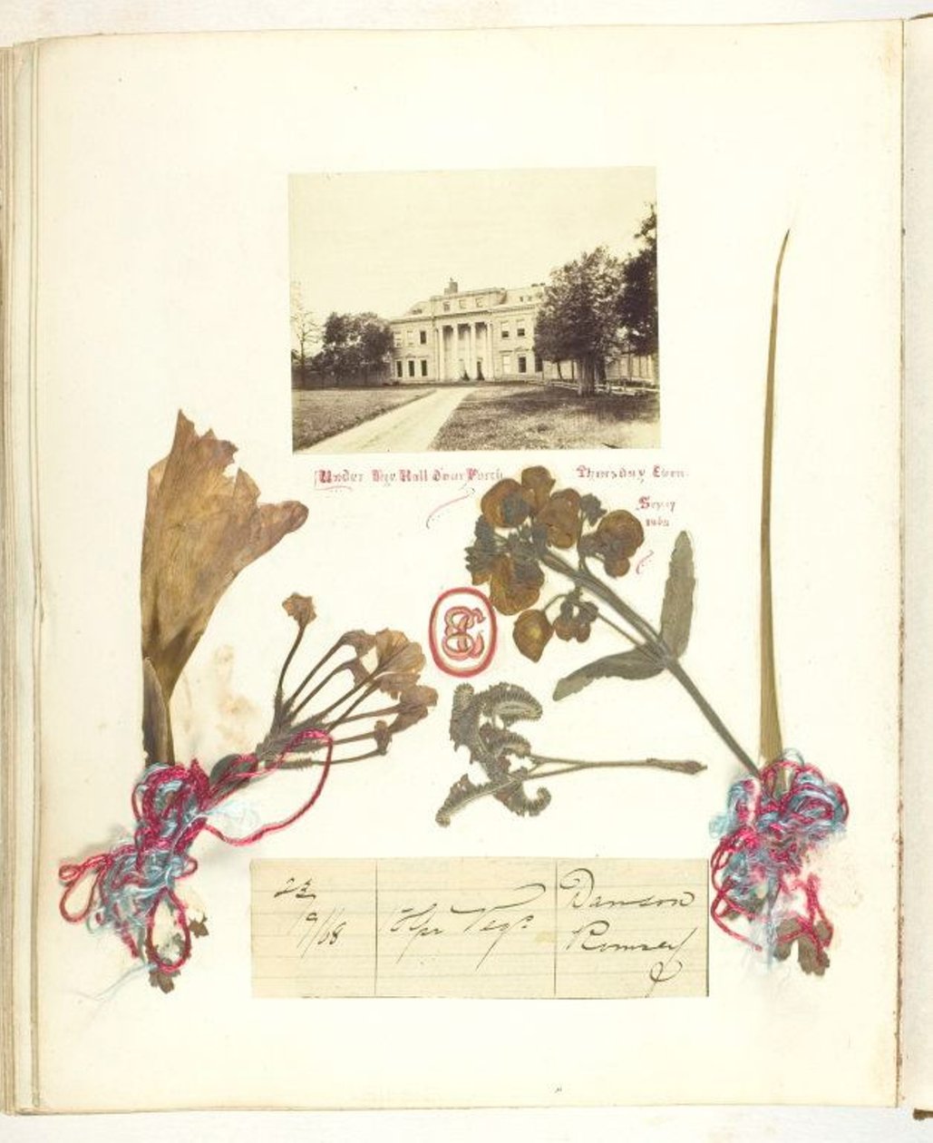 Sans titre - Georgina Cowper