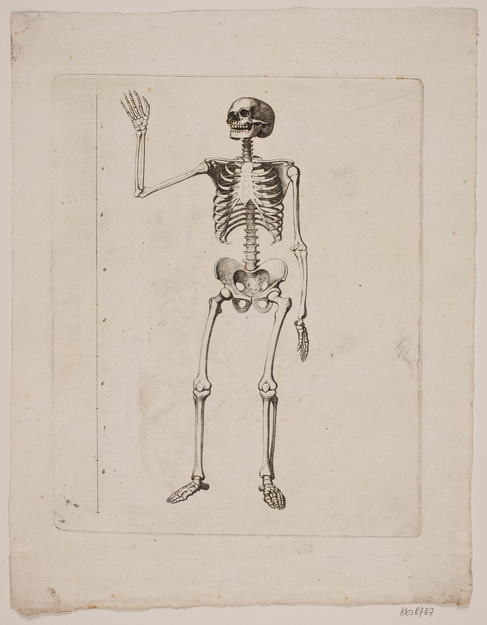 Squelette - Gerhard Ludvig Lahde