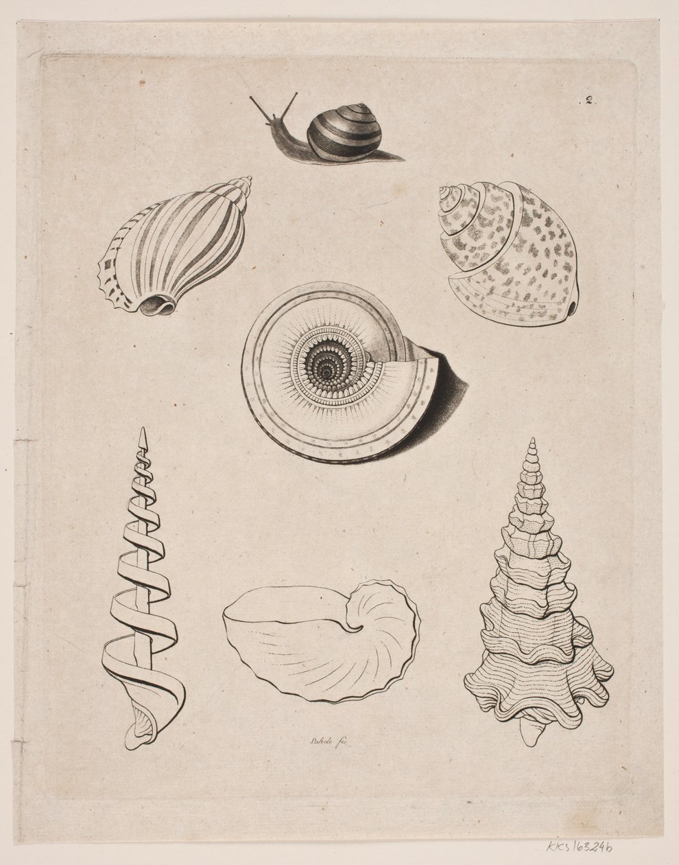 Tableau avec escargots - Gerhard Ludvig Lahde