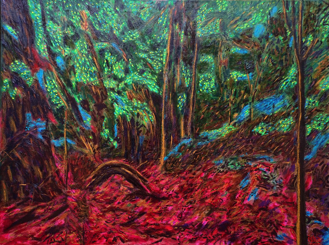 Jungle mexicaine - Gerhardt Isringhaus