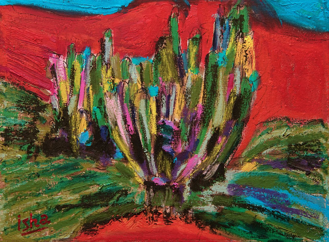 Esprit de Saguaro, 2018 - Gerhardt Isringhaus
