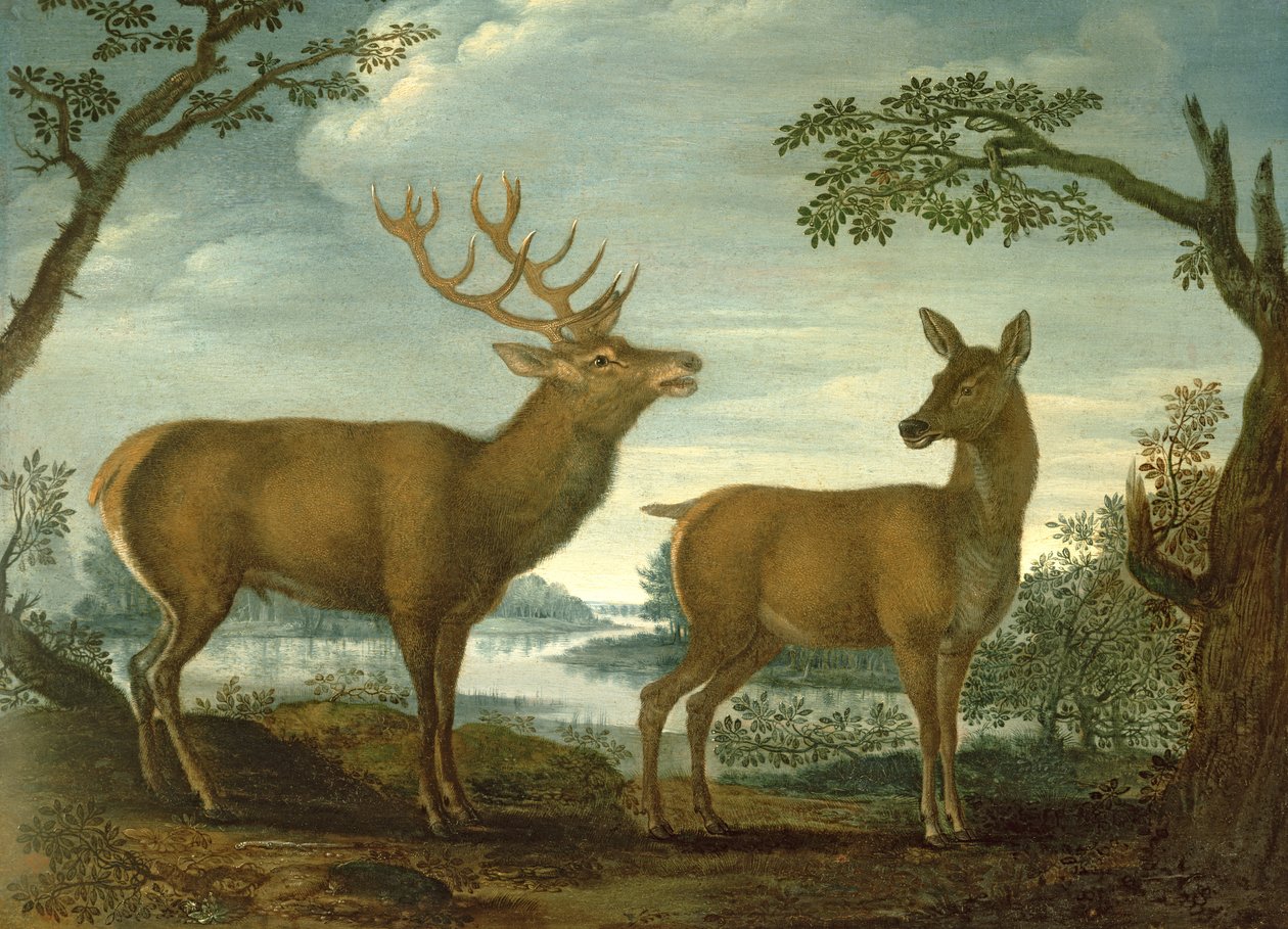Cerf et biche dans un paysage boisé - German School