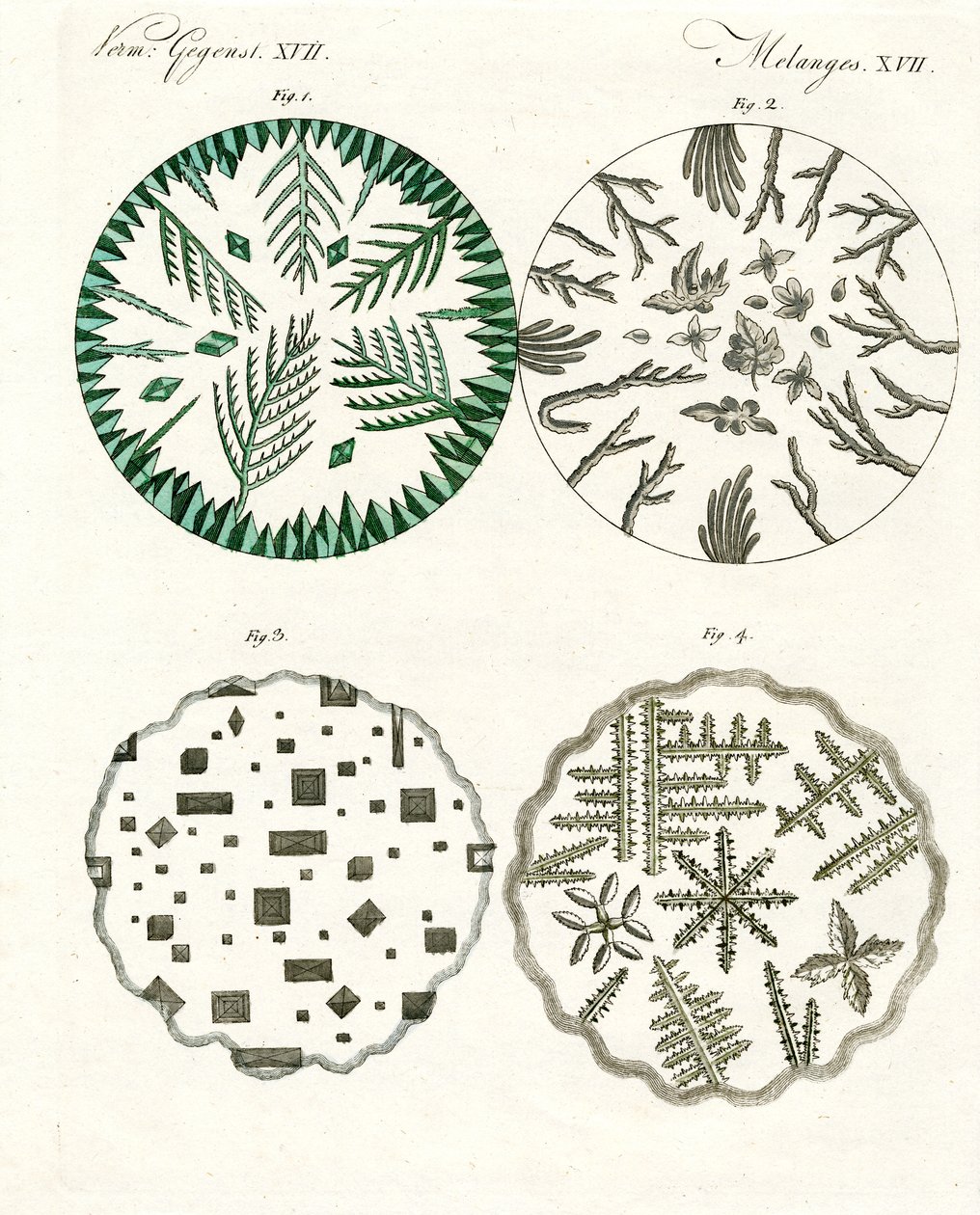 Tous types de cristaux de sel - German School