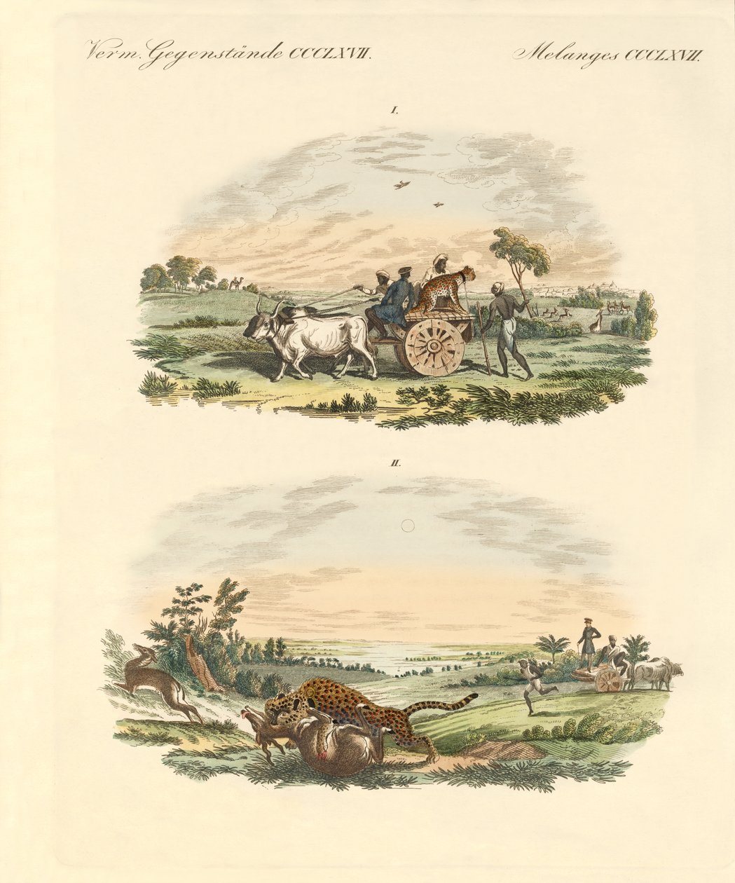 Antilopes chassant avec des léopards - German School