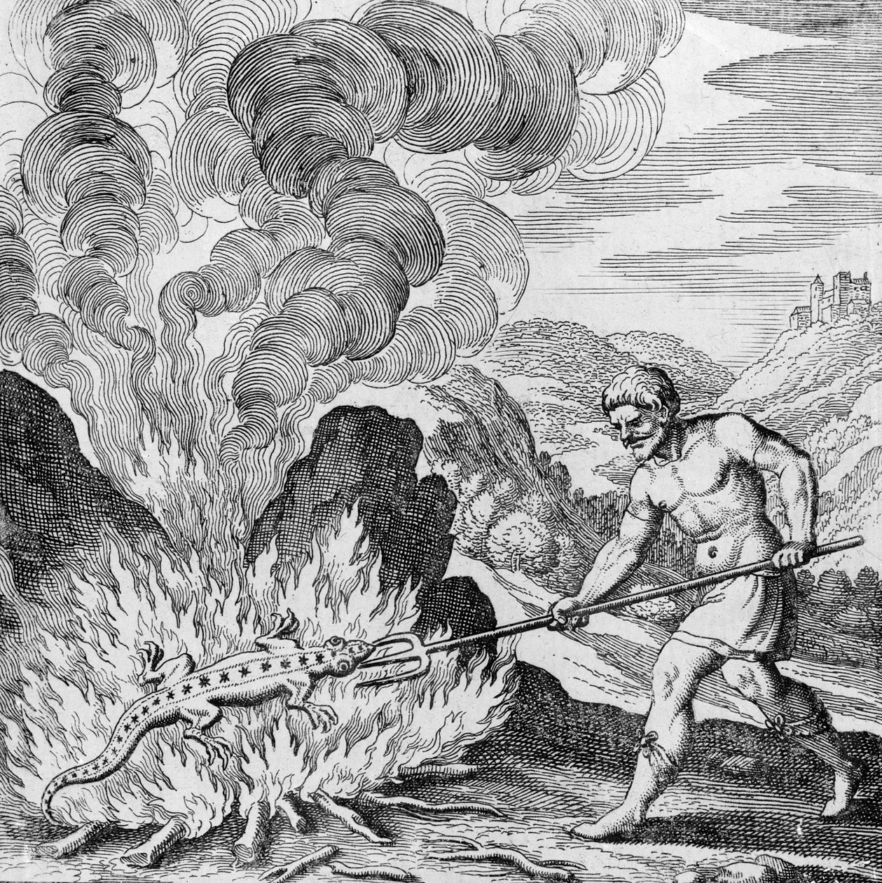 Brûler une salamandre du Musaeum Hermeticum - German School