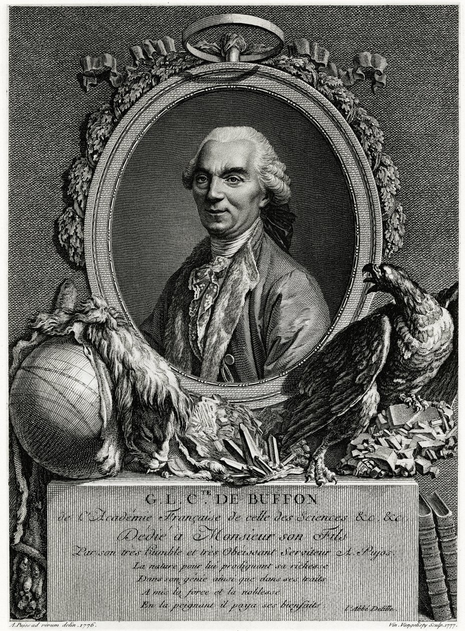 Georges-Louis Leclerc Comte de Buffon - German School