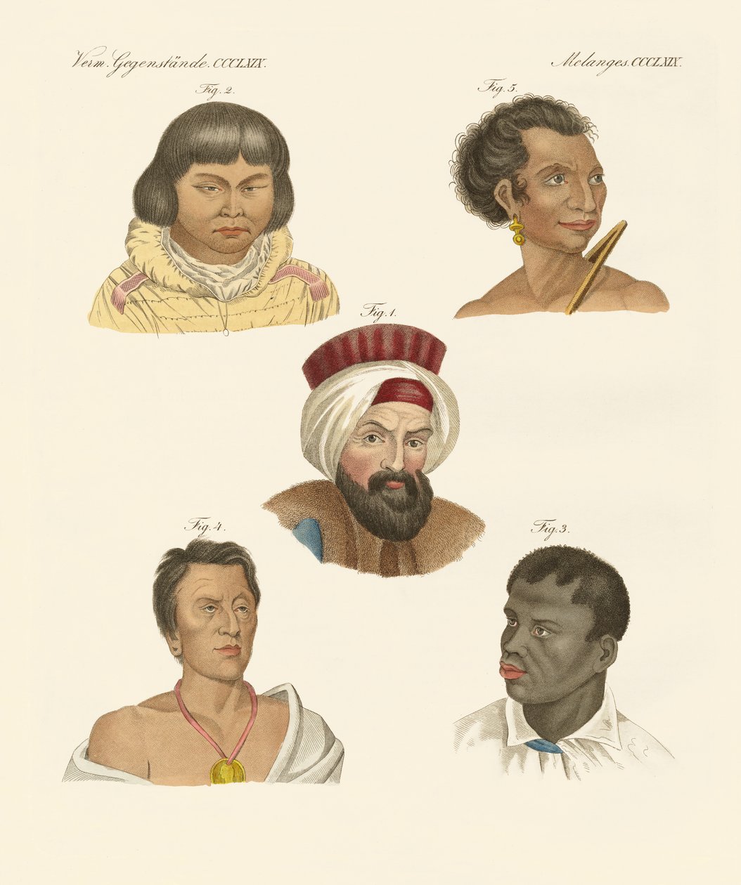 Illustration des principales races humaines - German School