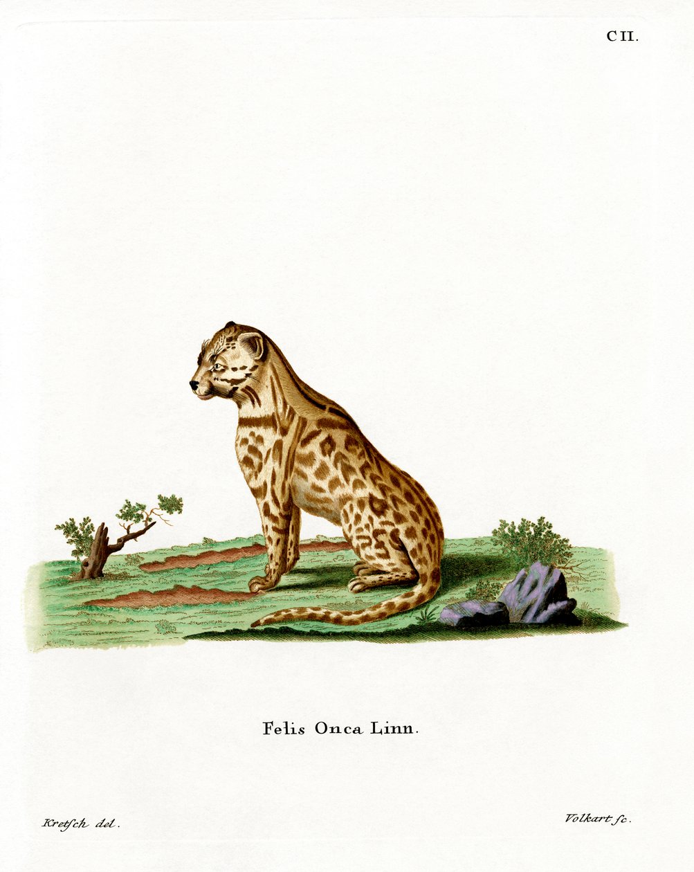 Jaguar - German School