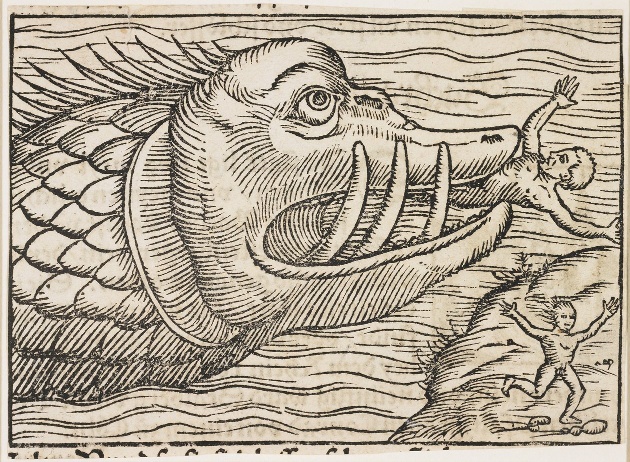 Jonas et la baleine - German School