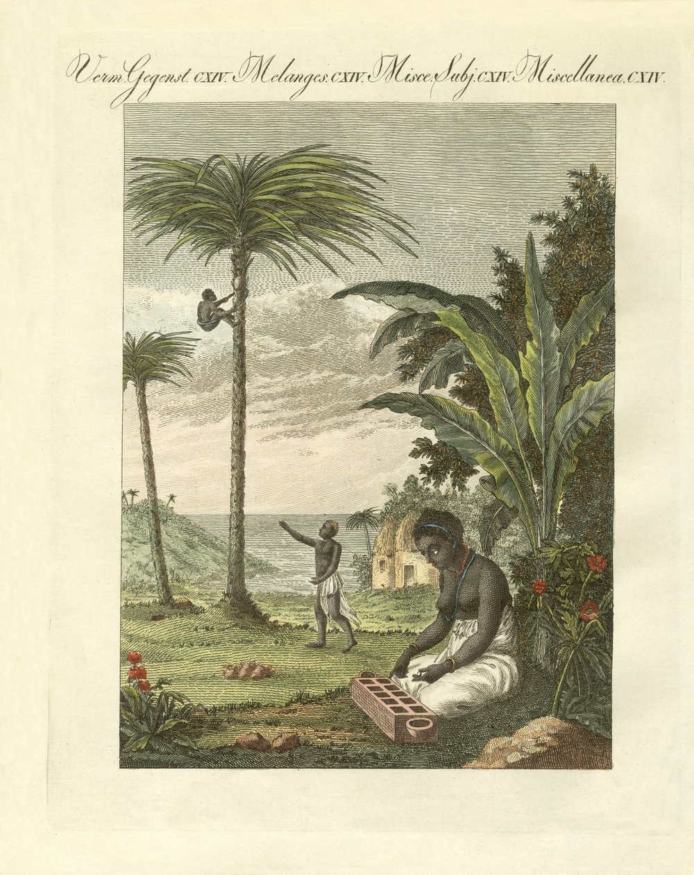 Scènes d