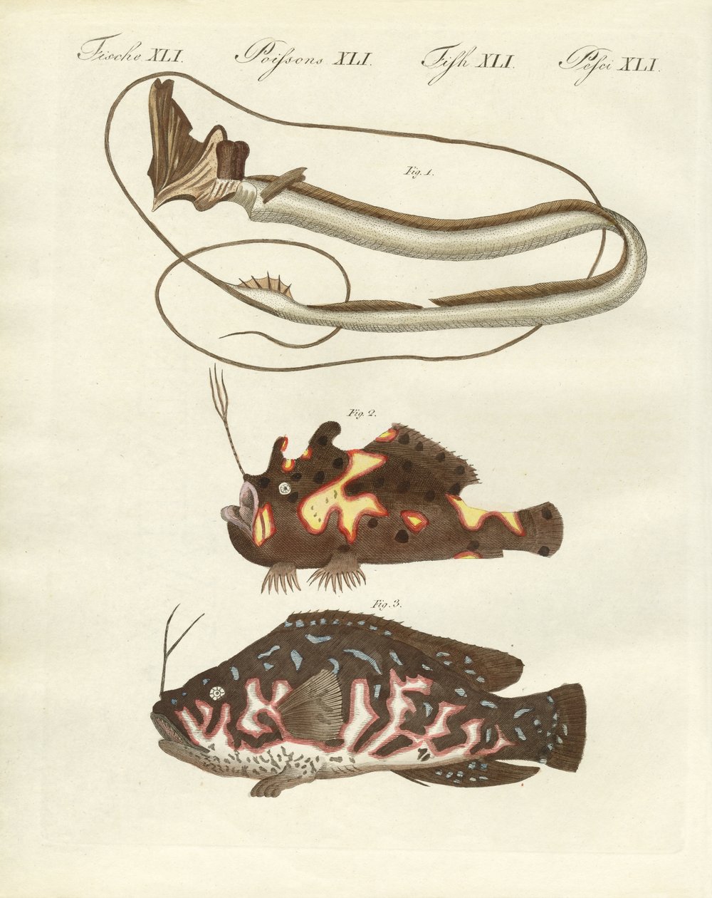 Poisson étrange - German School