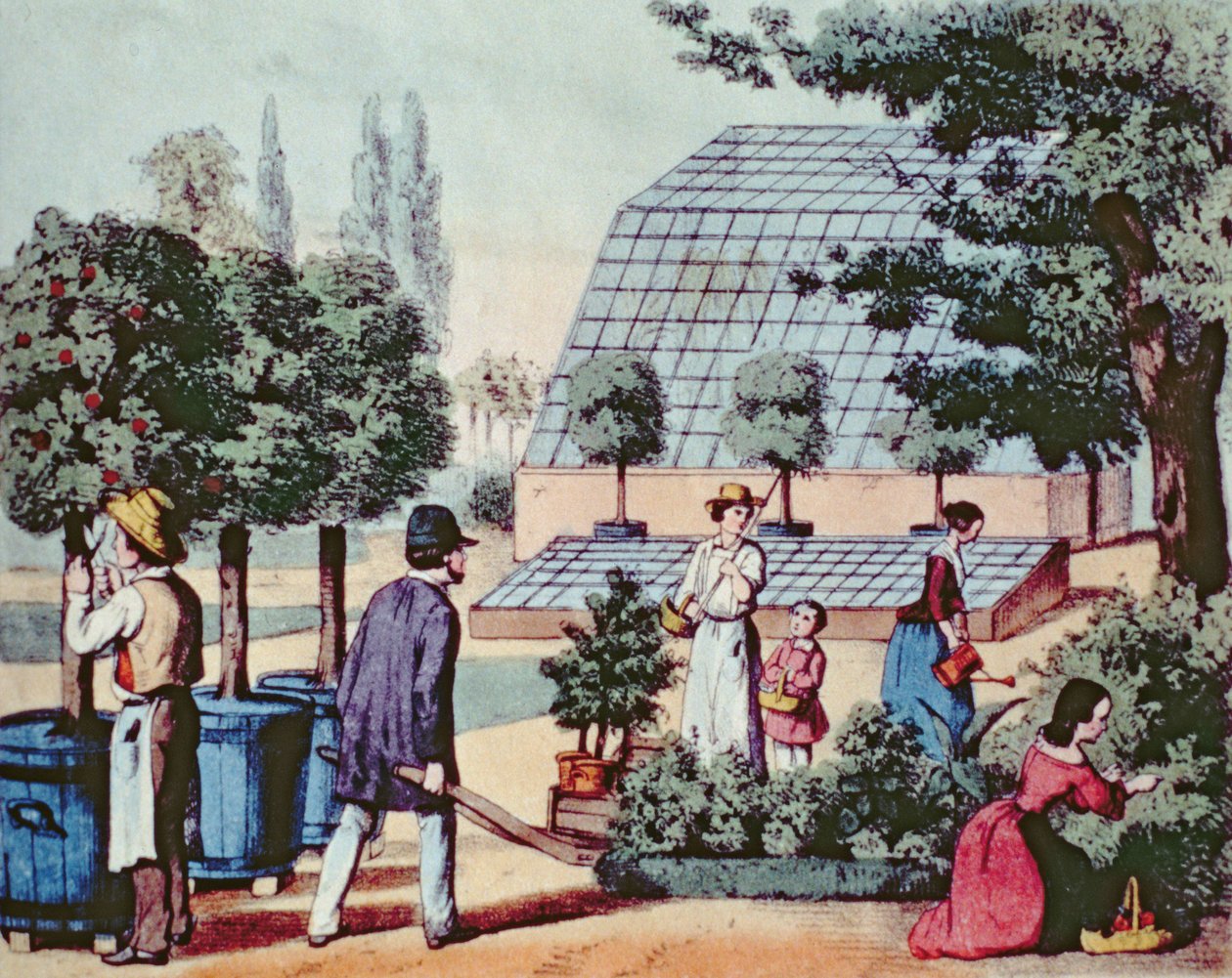 Jardinage, vers 1860 (gravure en couleur) - German School