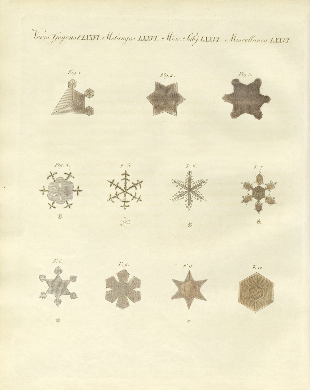 La neige avec ses cristallisations - German School