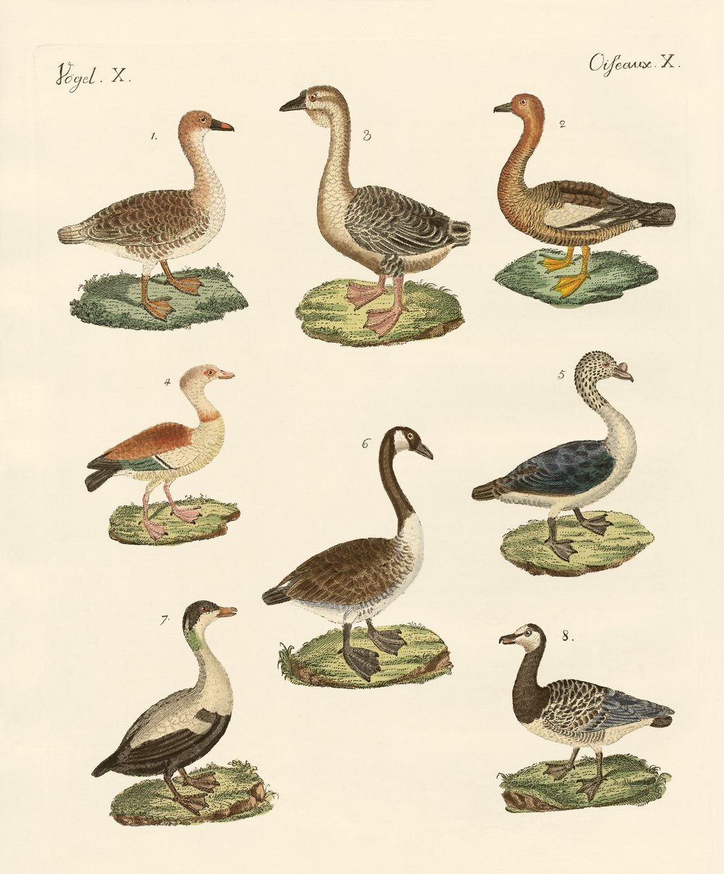 Divers types d