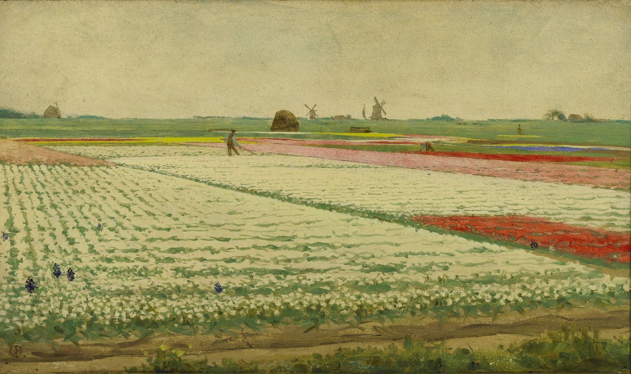 Champs de tulipes - Gerrit Willem Dijsselhof