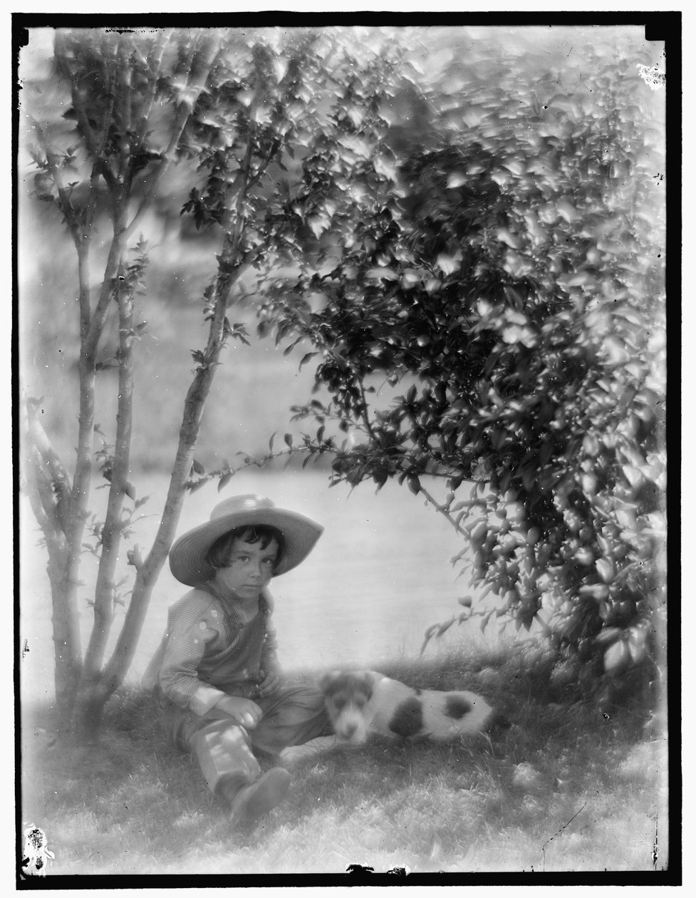 Garçon avec chien - Gertrude Käsebier