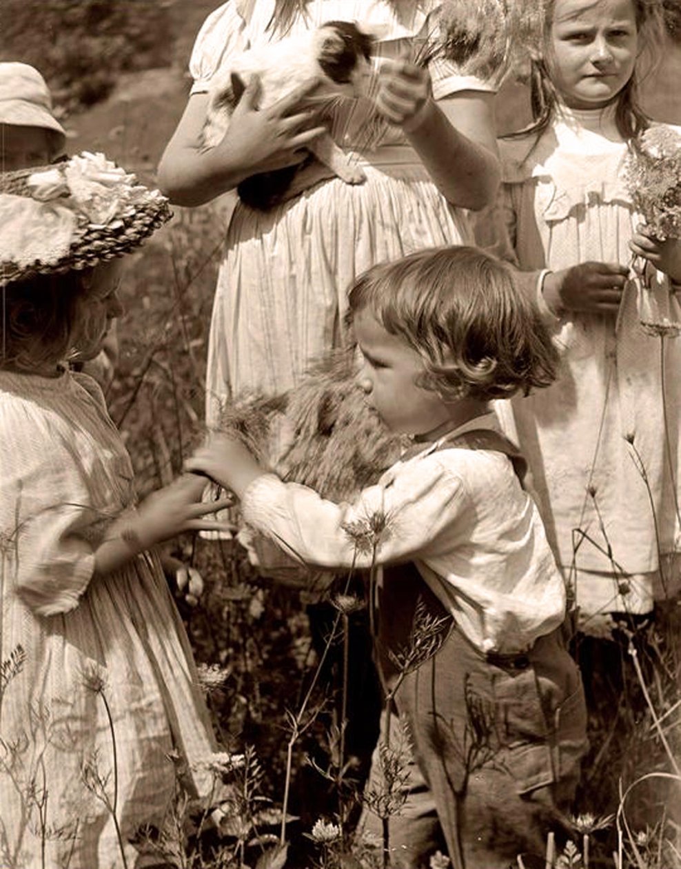 Jours heureux 1902 Gertrude Käsebier (1852-1934) - Gertrude Käsebier