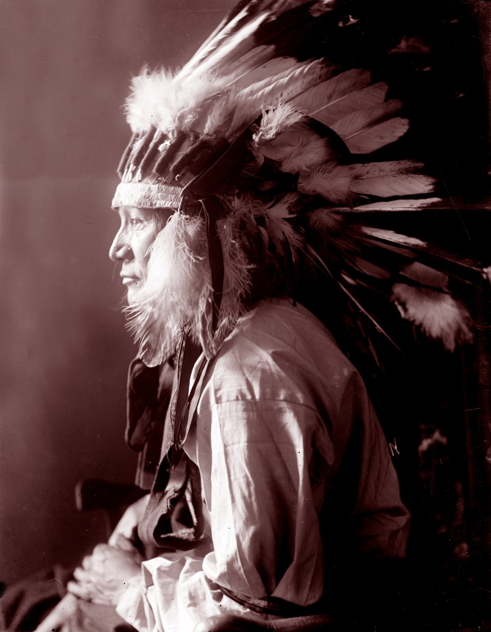 Cheval tourbillon - Gertrude Käsebier