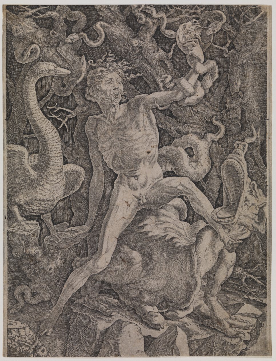 Allégorie de la colère - Gian Jacopo Caraglio