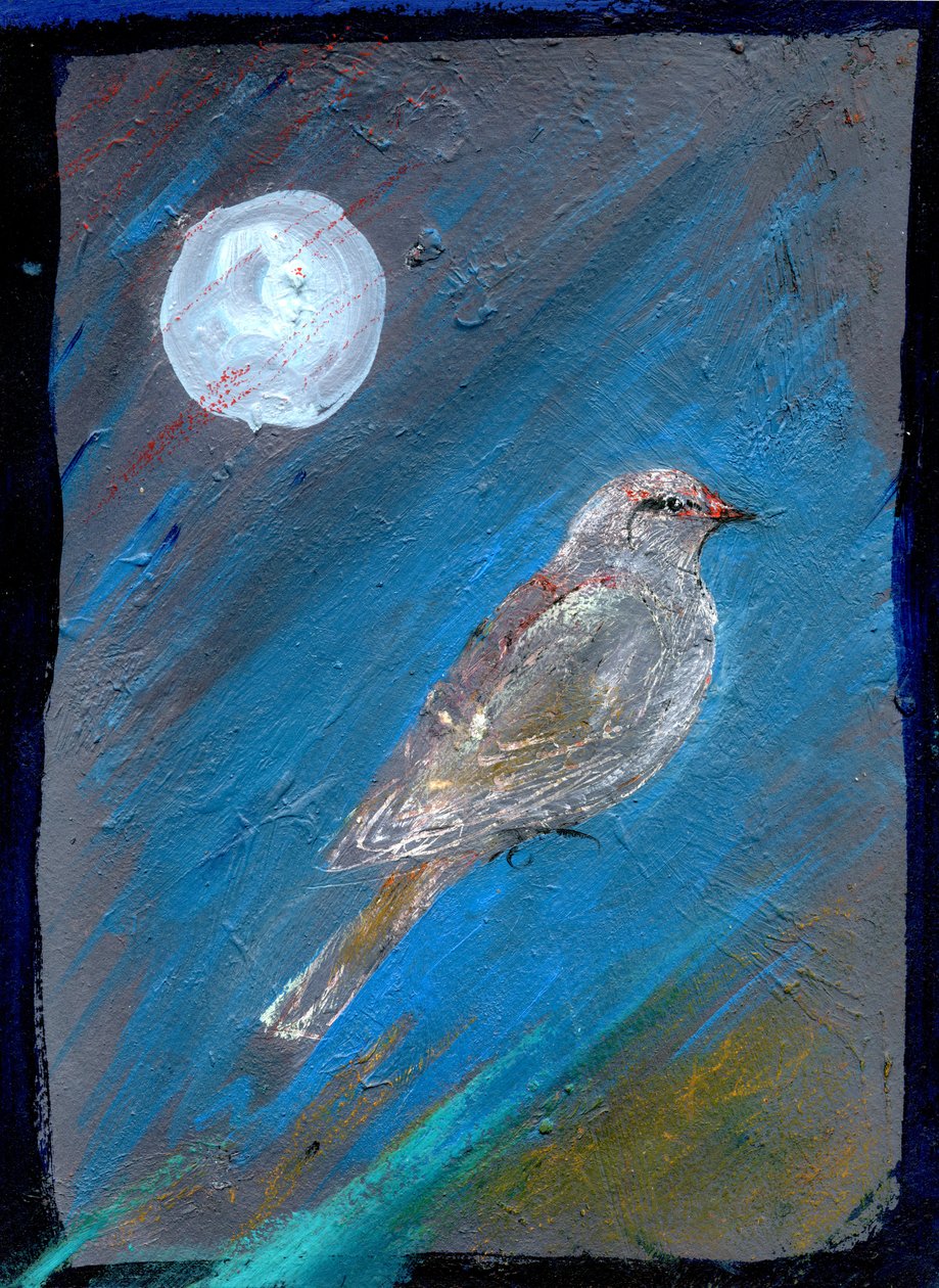 Oiseau de lune, 2016 - Gigi Sudbury