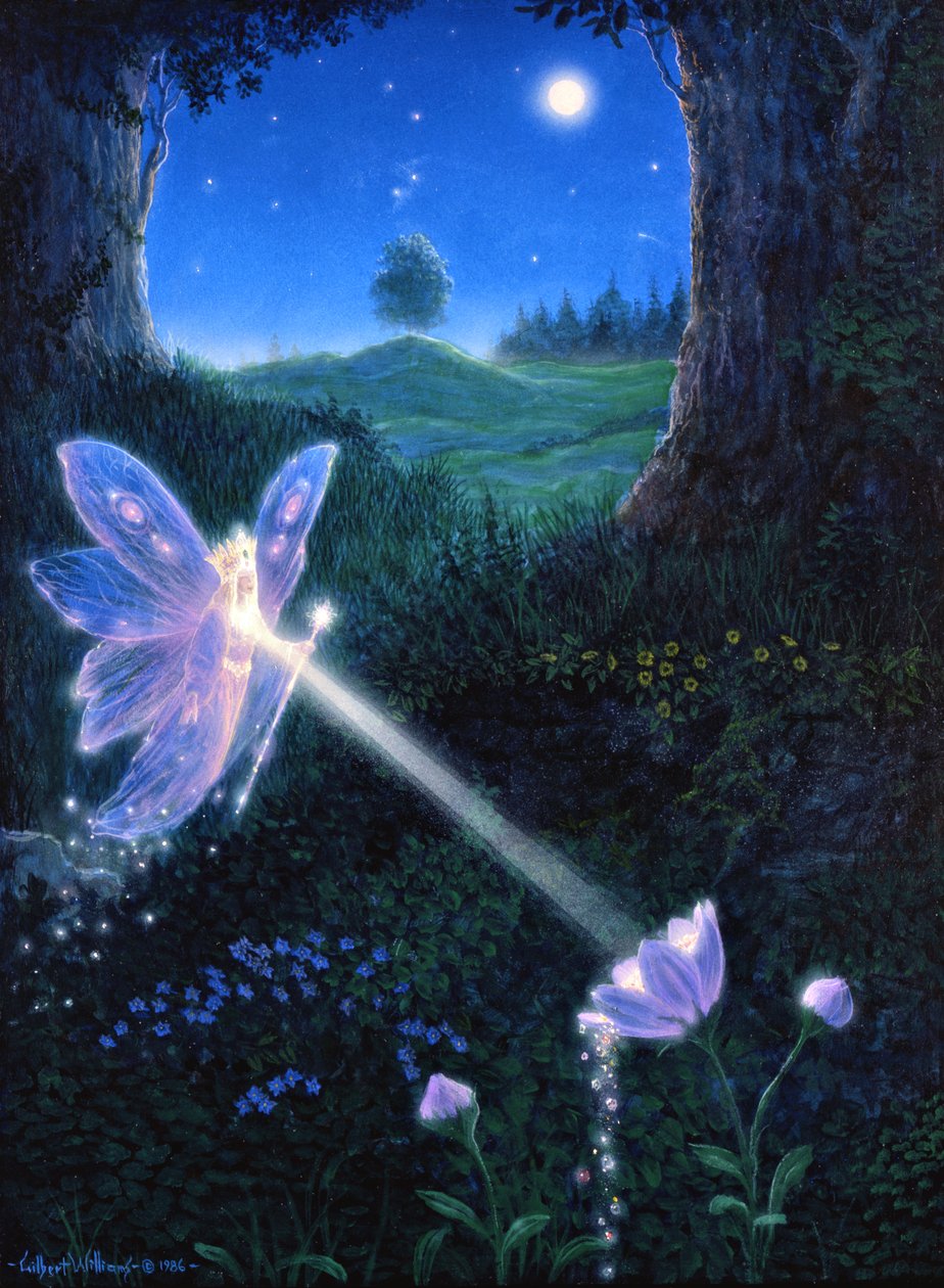 Fleur de fée - Gilbert Williams