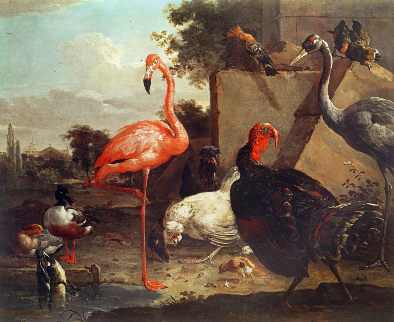 Divers oiseaux - Gillis Claesz d