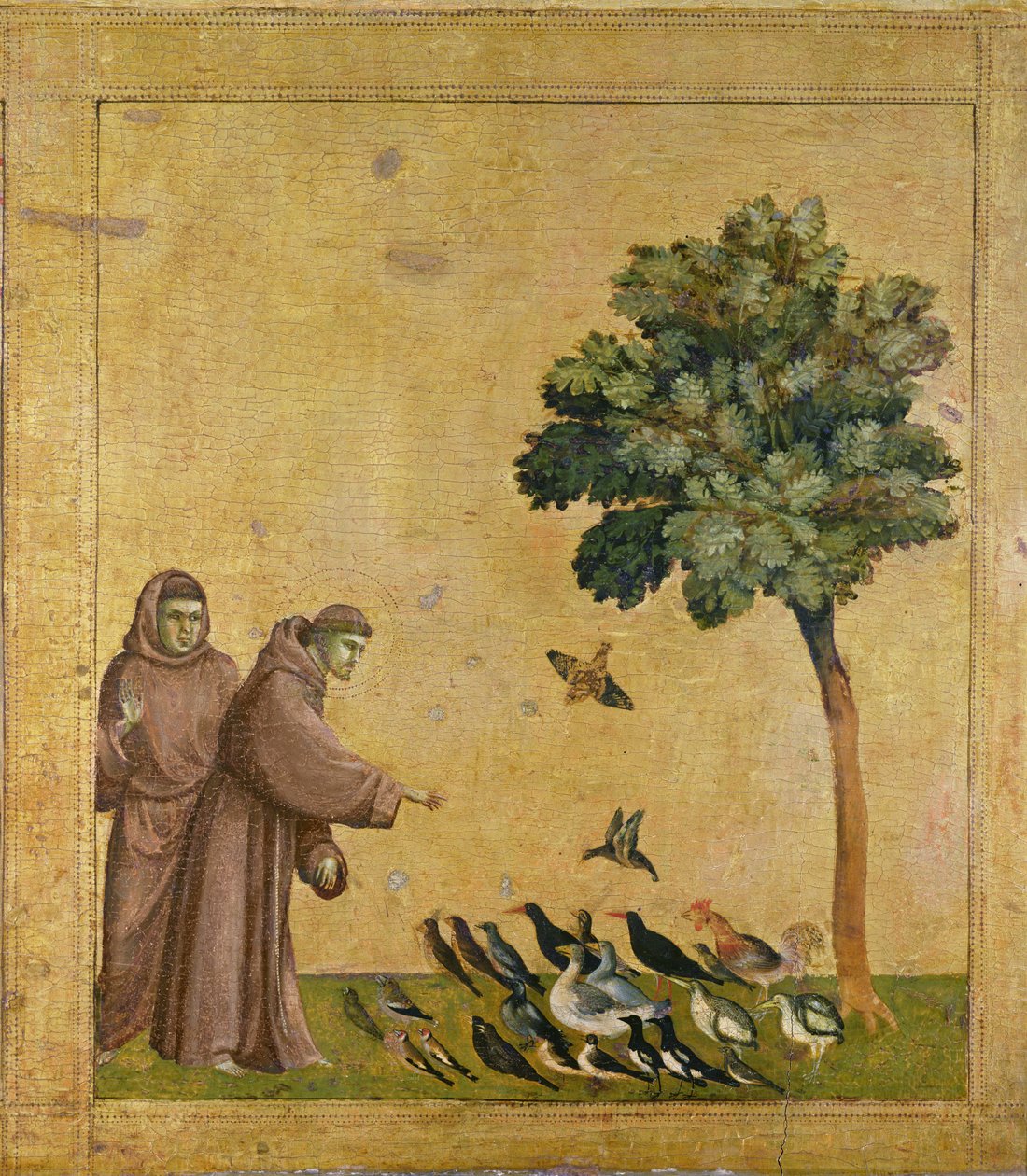 Le Sermon aux oiseaux - Giotto di Bondone