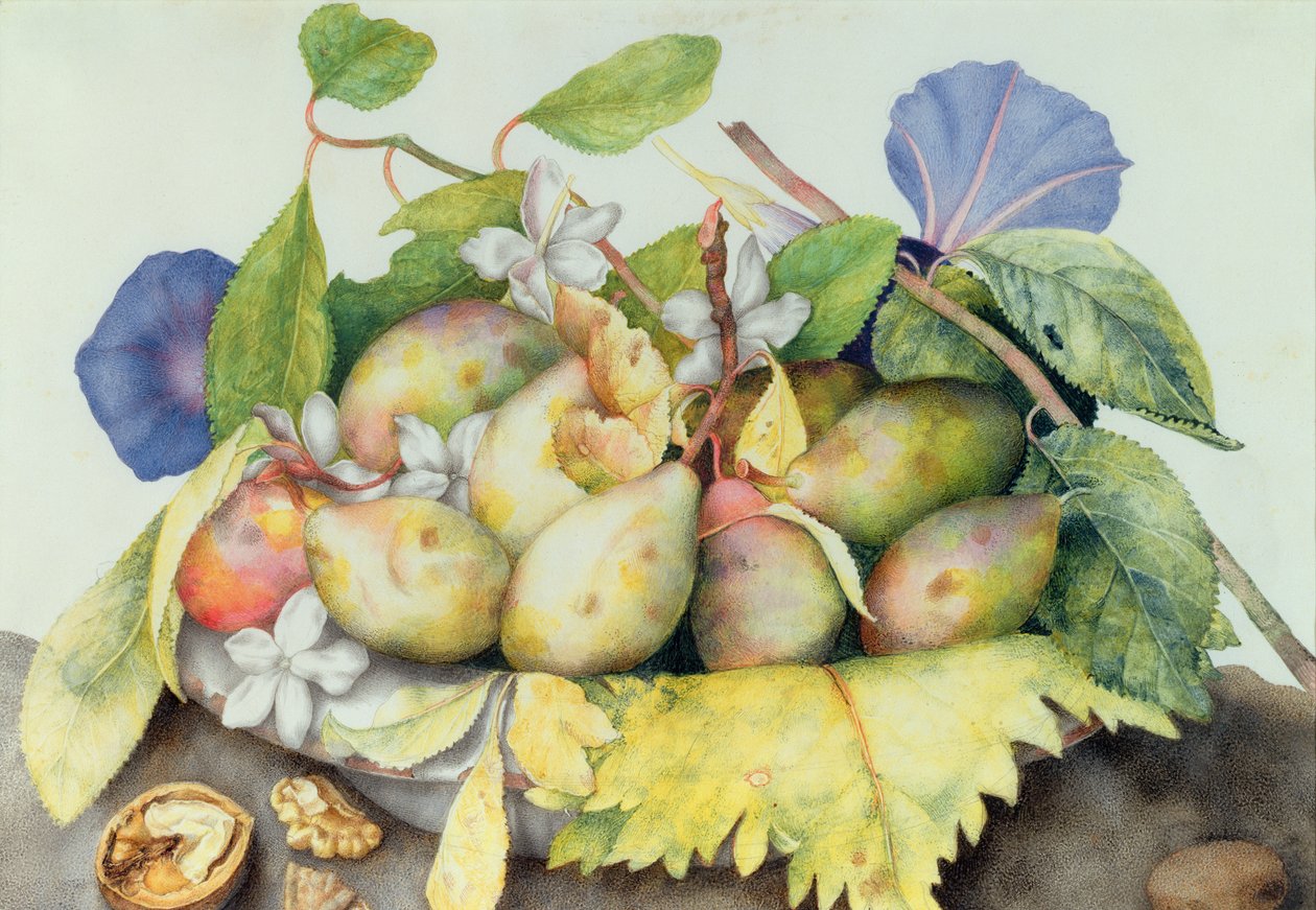 Nature morte avec prunes, noix et jasmin - Giovanna Garzoni