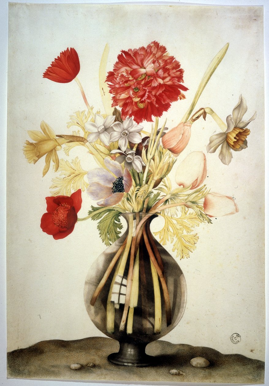 Image inconnue - Giovanna Garzoni