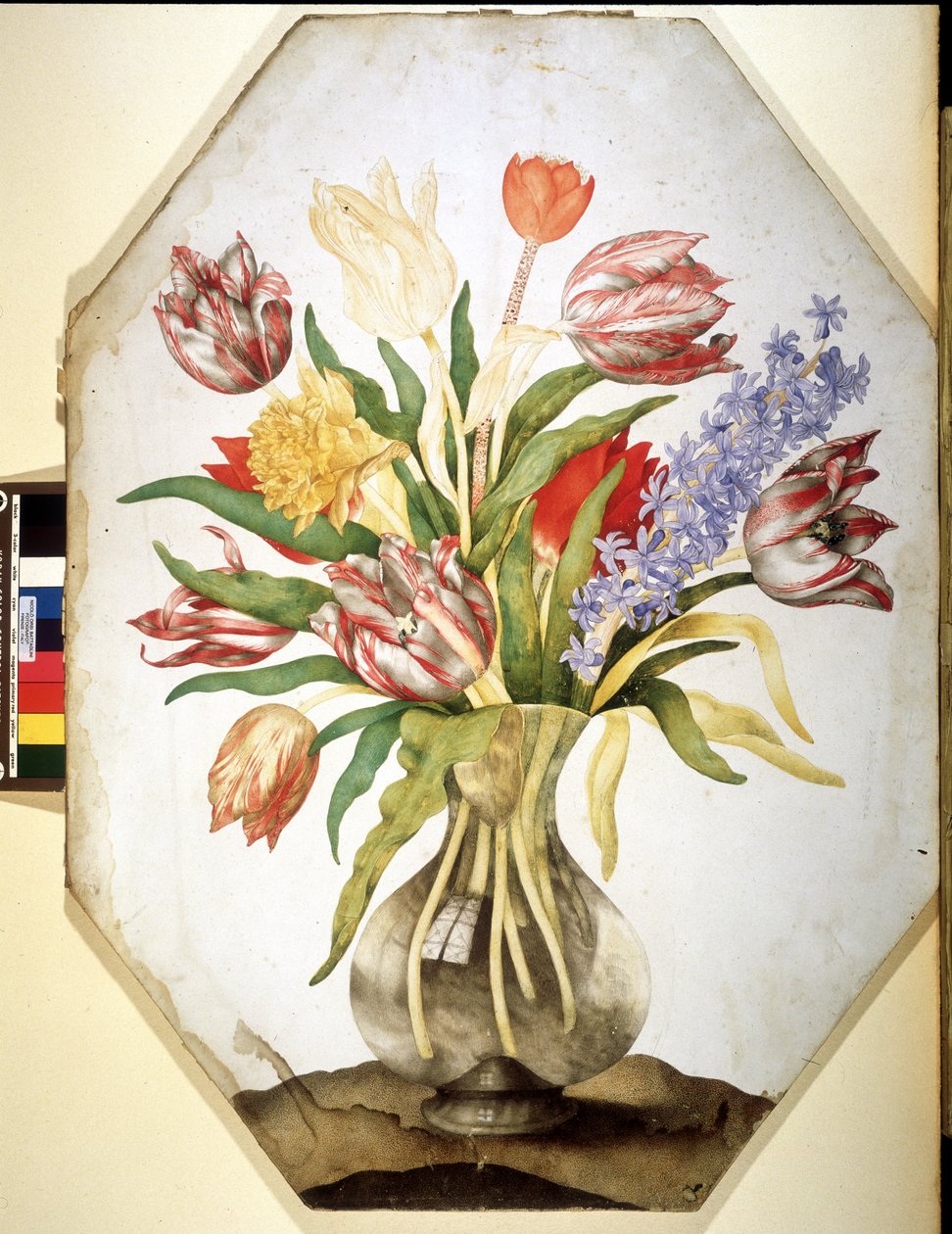 Image inconnue - Giovanna Garzoni