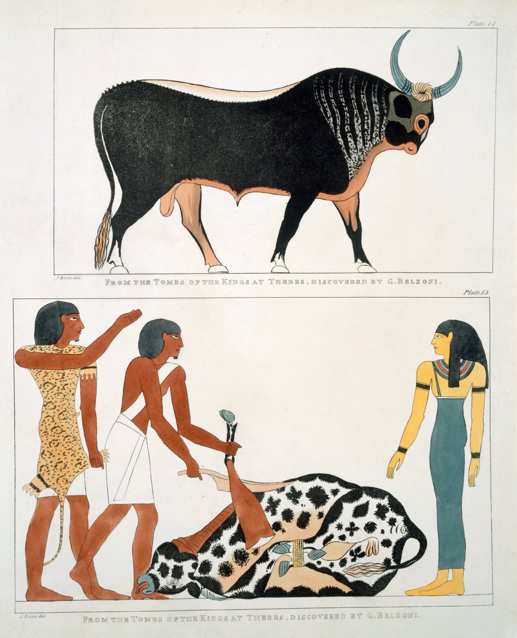 Fresque des tombes des rois de Thèbes, découverte par G. Belzoni, planche 13 de 