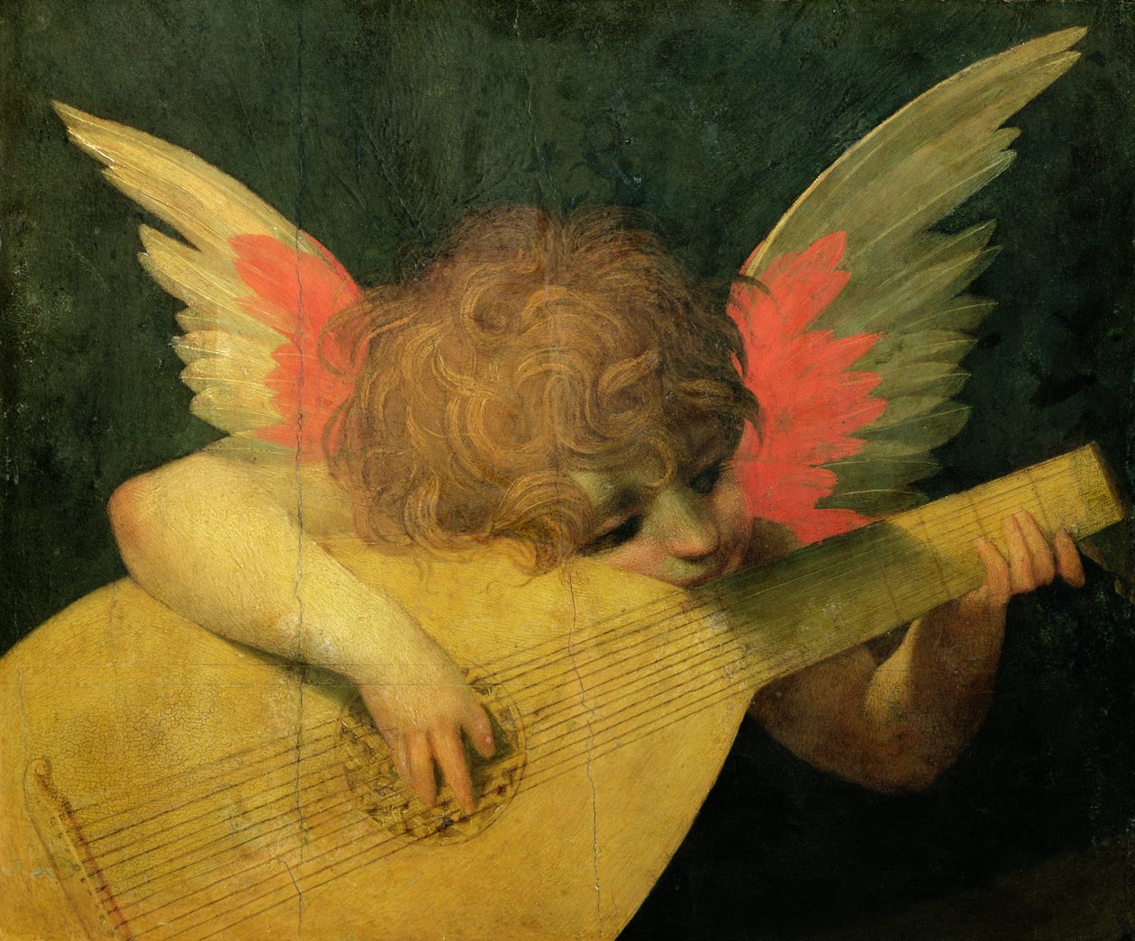 Ange musicien, c.1520 - Giovanni Battista Rosso Fiorentino