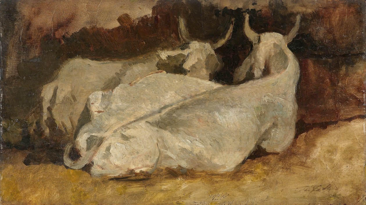 Vaches couchées - Giovanni Fattori