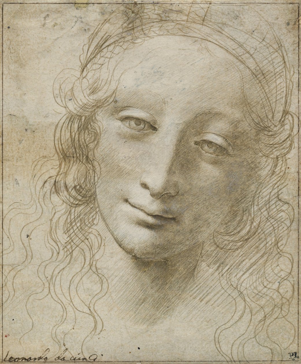 Tête de femme - Giovanni Antonio Boltraffio