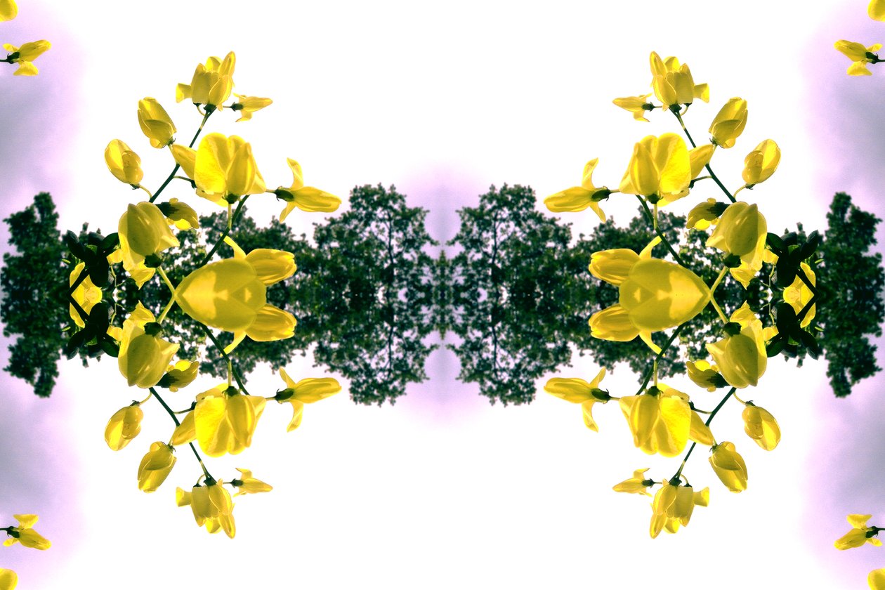 Unnatural 151.2 - Giovanni Cafagna