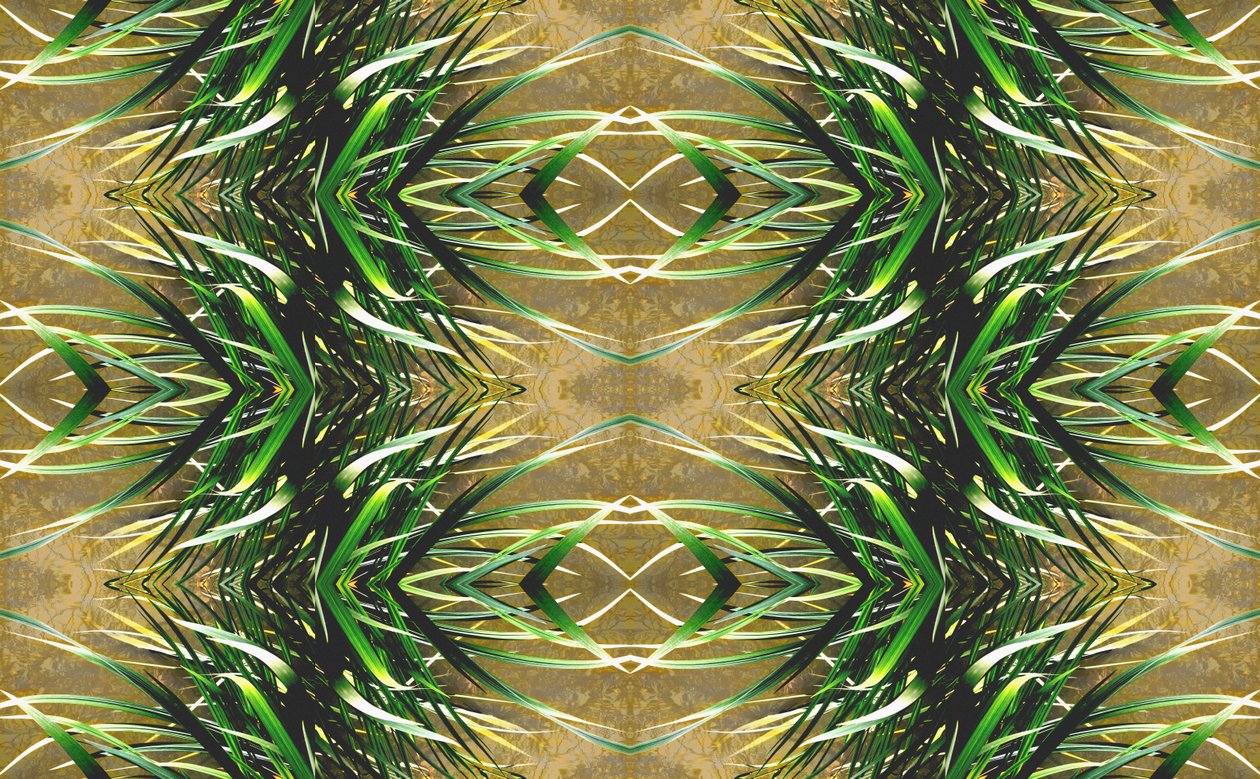 Non naturel 16 - Giovanni Cafagna