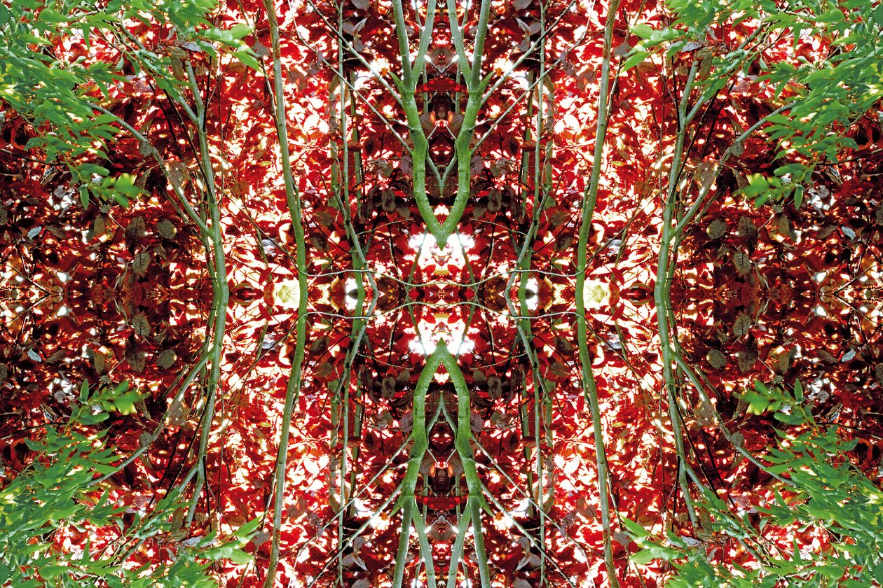 Non naturel 23 - Giovanni Cafagna