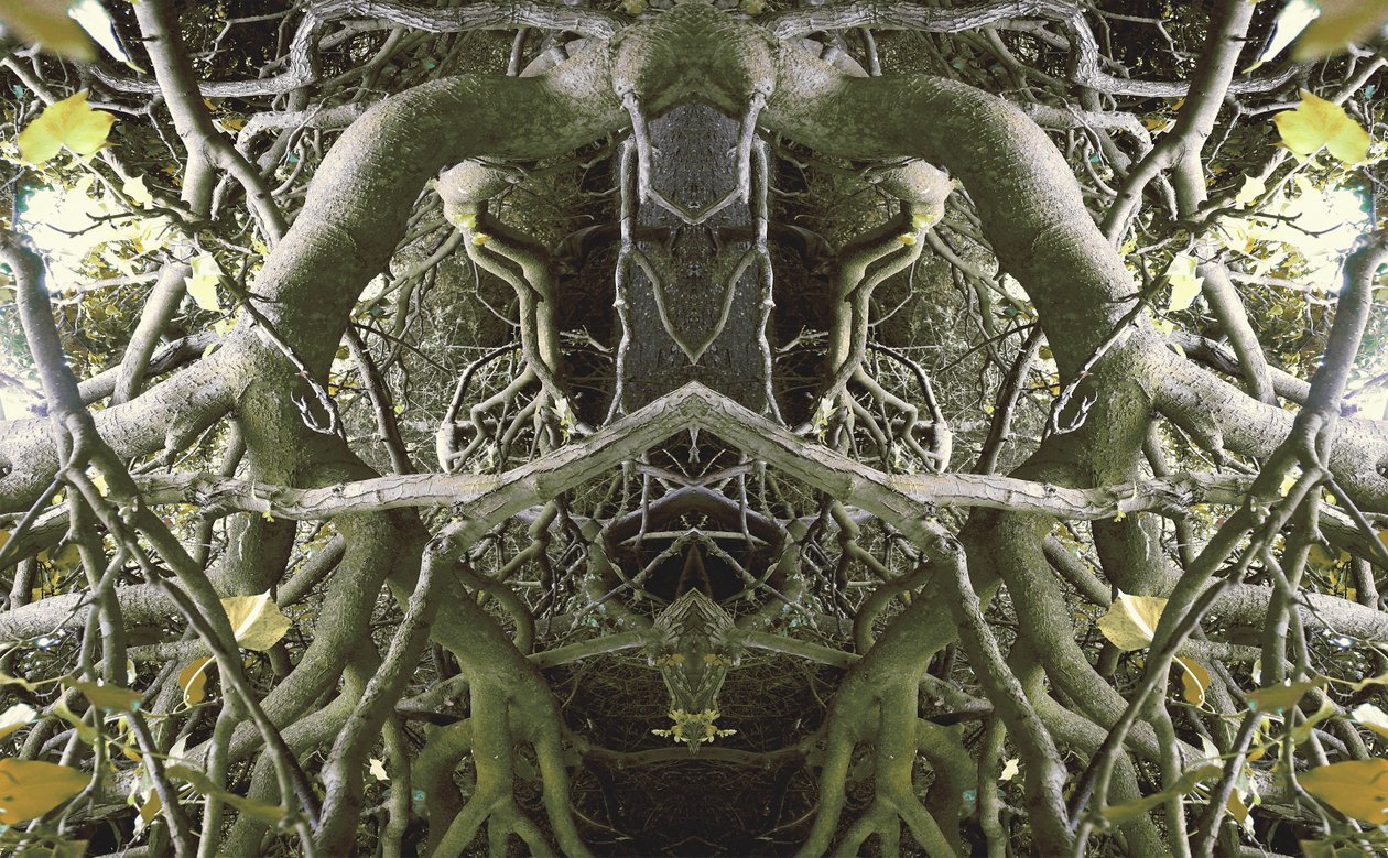 Non naturel 41 - Giovanni Cafagna