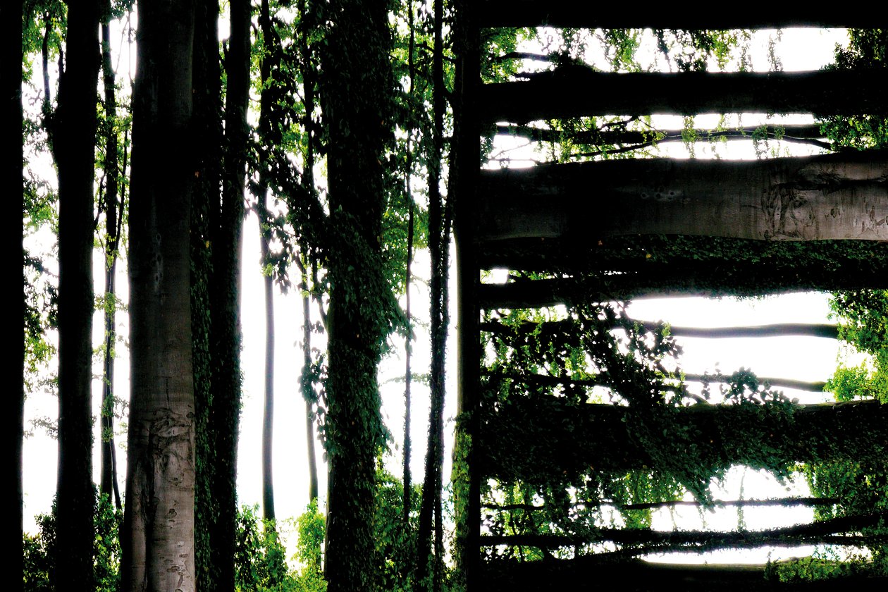 Non naturel 55 - Giovanni Cafagna