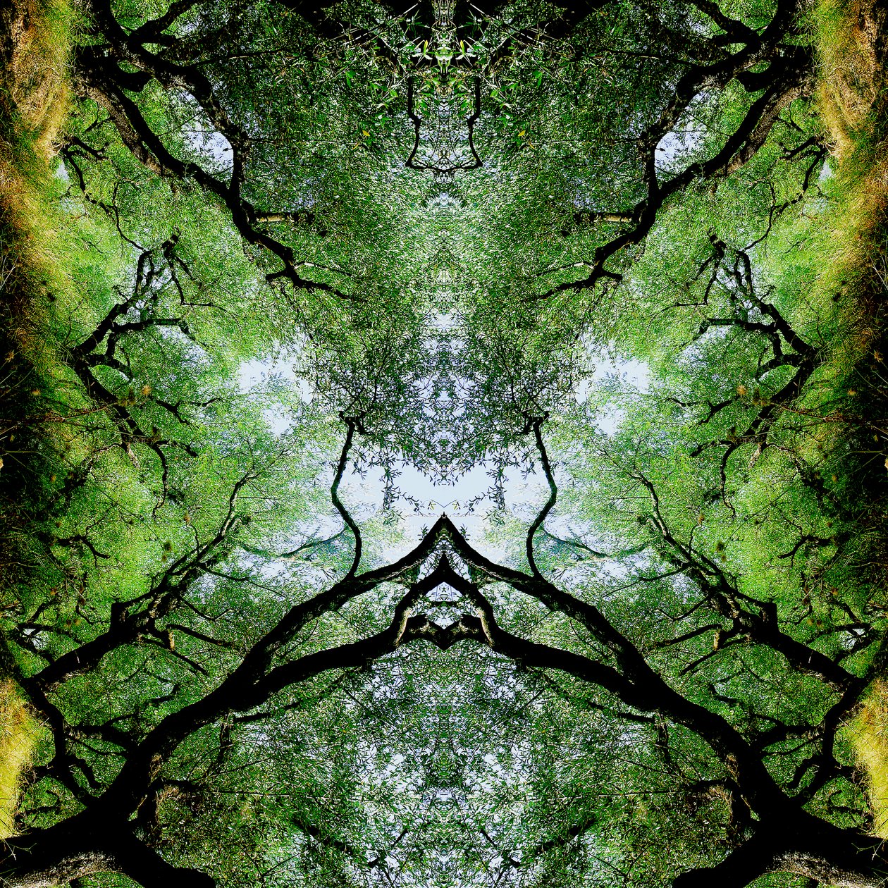 Unnatural 75 - Giovanni Cafagna