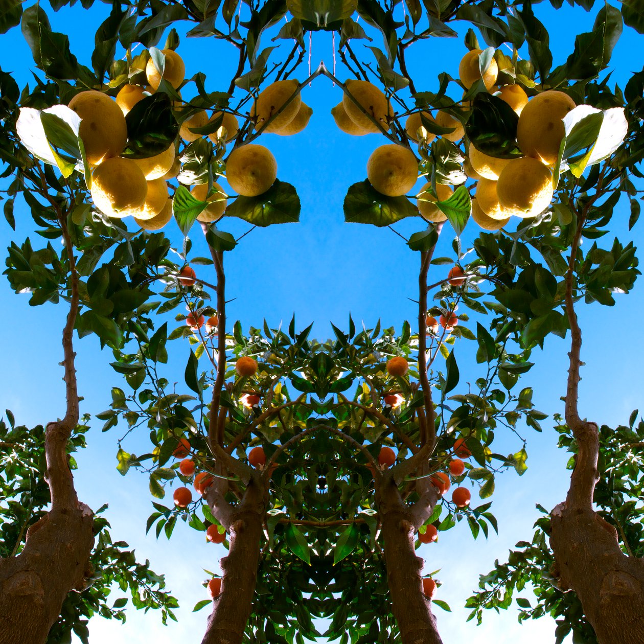 Unnatural 78 - Giovanni Cafagna