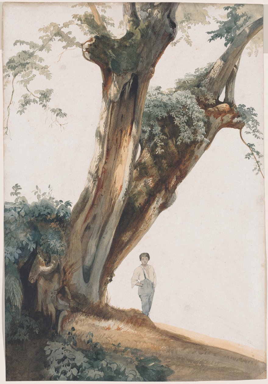 Arbres anciens dans la campagne romaine - Giovanni Costa
