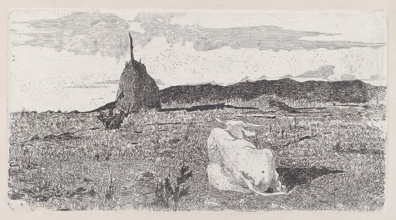 Vache sacrée [Pio bove] - Giovanni Fattori
