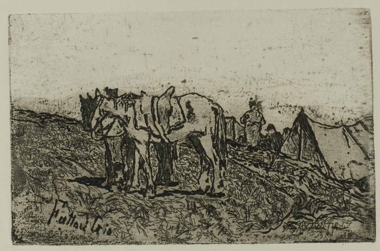 Manœuvres - Giovanni Fattori