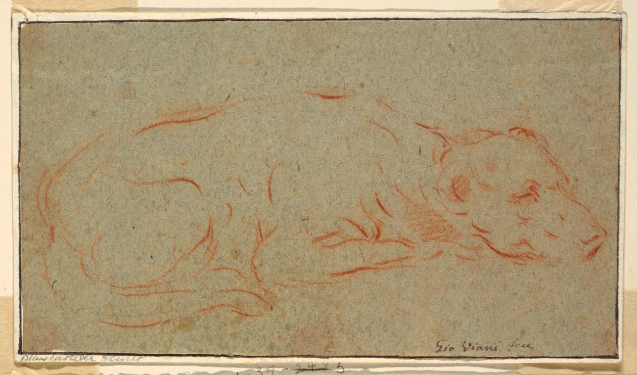 Esquisse : Un chien accroupi - Giovanni Maria Viani