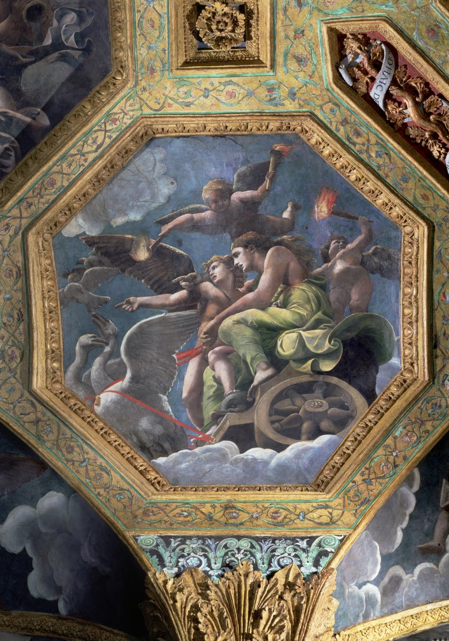 Vénus et Cupidon dans un char tiré par des cygnes, caisson de plafond de la Sala di Amore e Psiche, 1528 - Giulio Romano